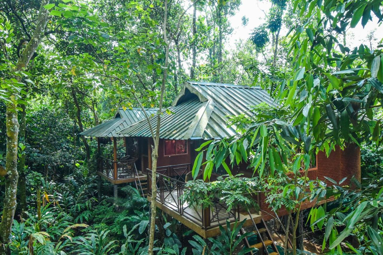 Monsoon Retreats Ecostay- Treehouse Теккади Экстерьер фото