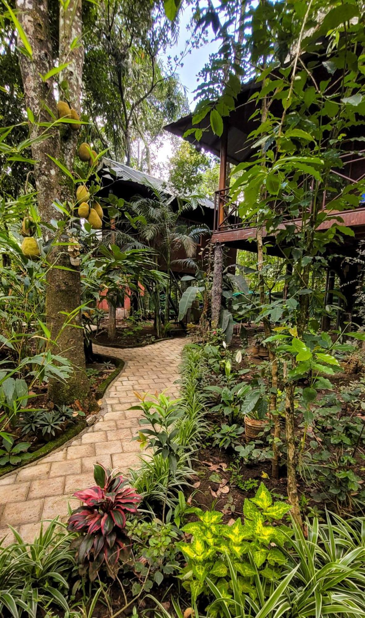 Monsoon Retreats Ecostay- Treehouse Теккади Экстерьер фото
