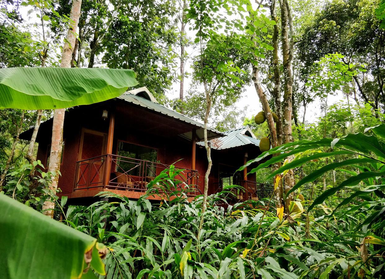 Monsoon Retreats Ecostay- Treehouse Теккади Экстерьер фото